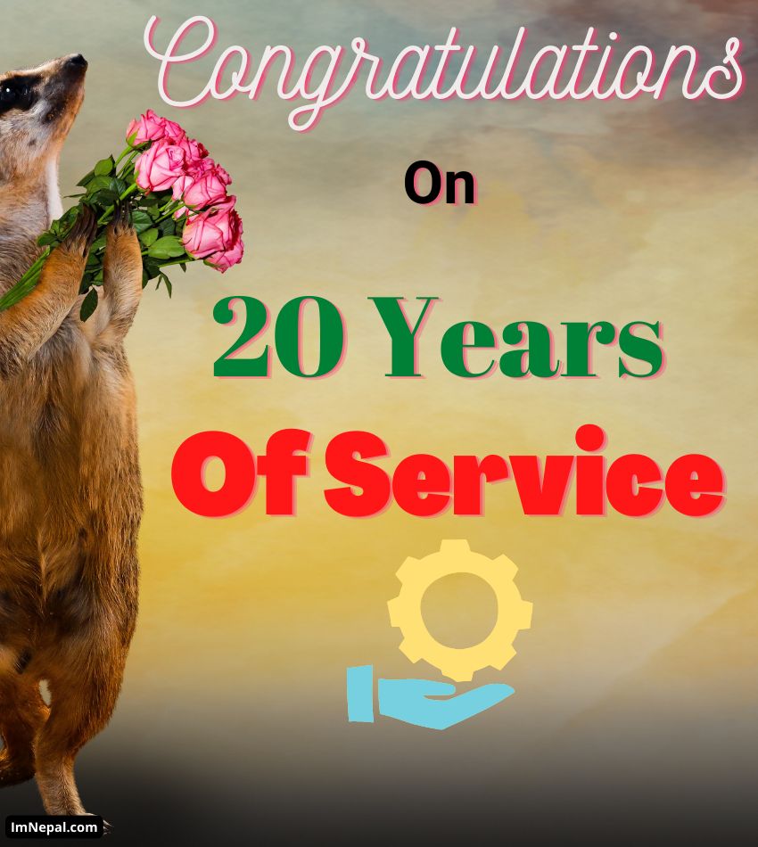 Congratulations on 20 years of service